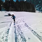 Pinzgau Apartmán 4*