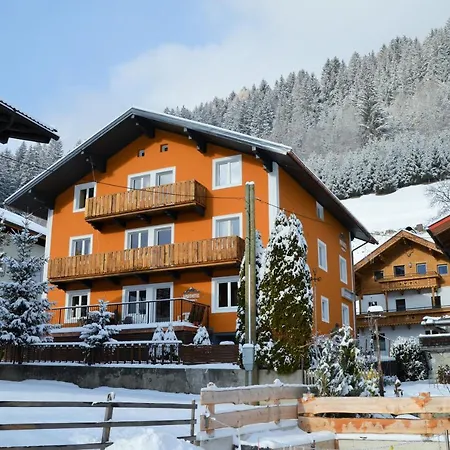 Apartment Aparthotel Pinzgau