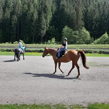 Pinzgau Appartamento Neukirchen am Großvenediger