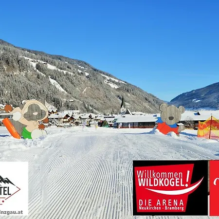 Apartment Aparthotel Pinzgau