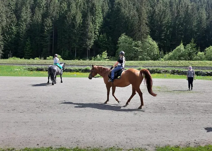 Pinzgau 公寓 Neukirchen am Großvenediger