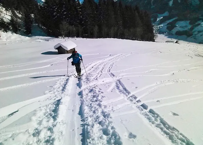 Pinzgau 公寓 4*