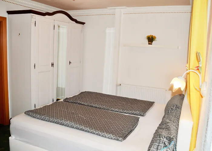 Pinzgau 4*